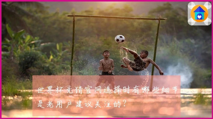 世界杯竞猜官网选择时有哪些细节是老用户建议关注的？