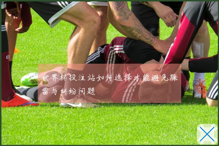 世界杯投注站如何选择才能避免踩雷与纠纷问题