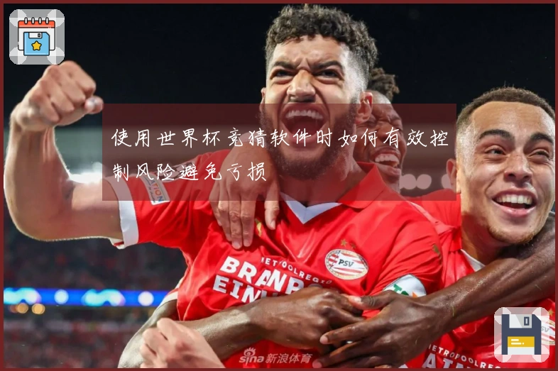 使用世界杯竞猜软件时如何有效控制风险避免亏损