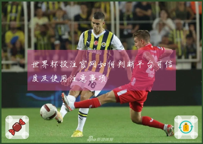 世界杯投注官网如何判断平台可信度及使用注意事项