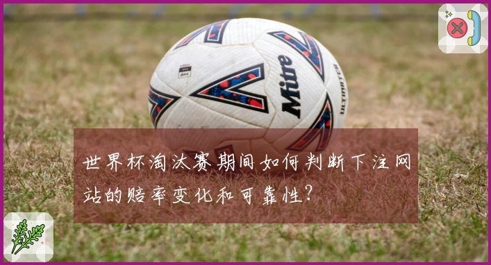 世界杯淘汰赛期间如何判断下注网站的赔率变化和可靠性？