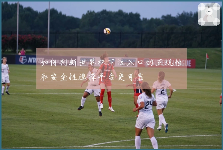 如何判断世界杯下注入口的正规性和安全性选择平台更可靠