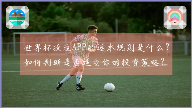 世界杯投注APP的返水规则是什么？如何判断是否适合你的投资策略？