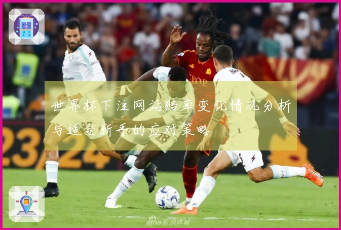 世界杯下注网站赔率变化情况分析与适合新手的应对策略