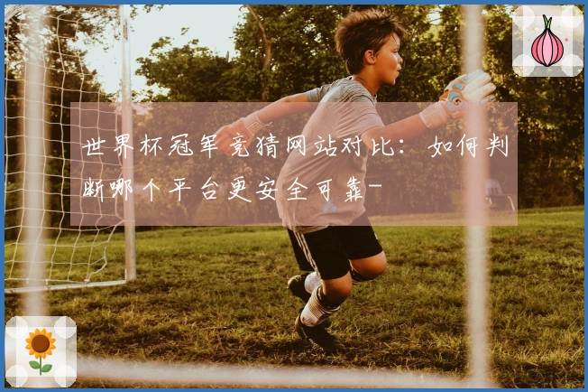 世界杯冠军竞猜网站对比：如何判断哪个平台更安全可靠-