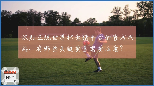 识别正规世界杯竞猜平台的官方网站，有哪些关键要素需要注意？