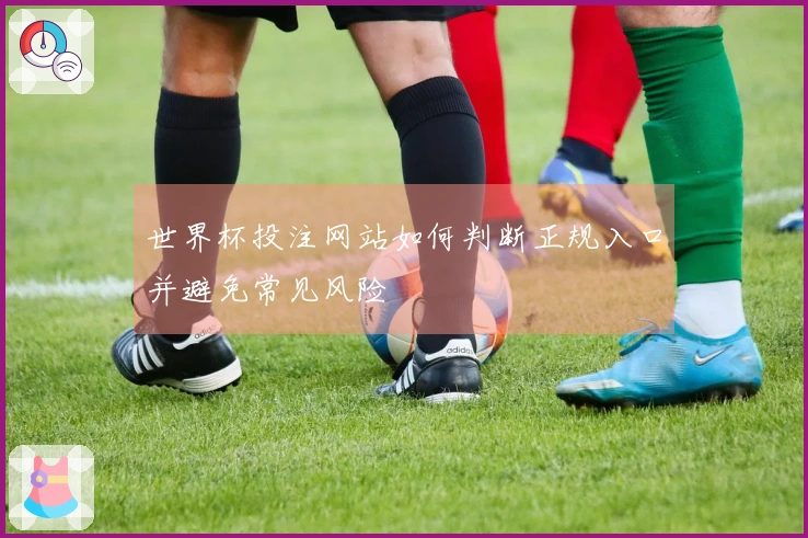 世界杯投注网站如何判断正规入口并避免常见风险