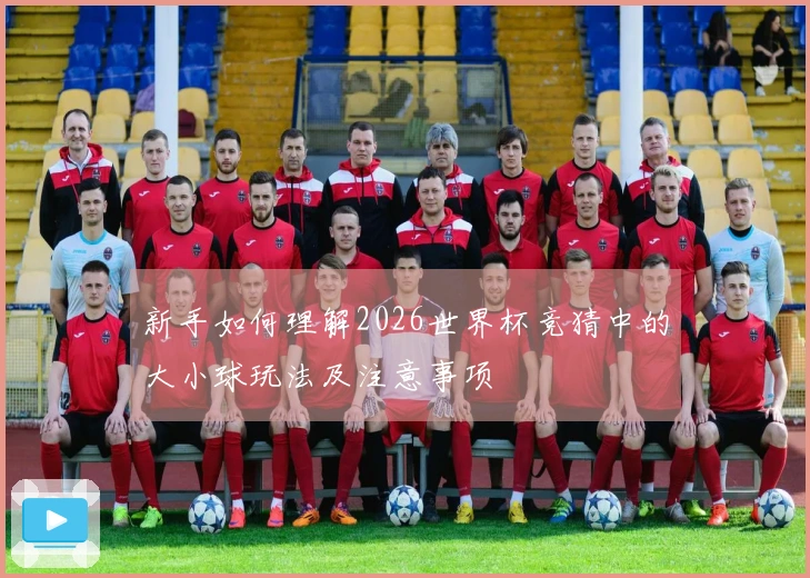 新手如何理解2026世界杯竞猜中的大小球玩法及注意事项