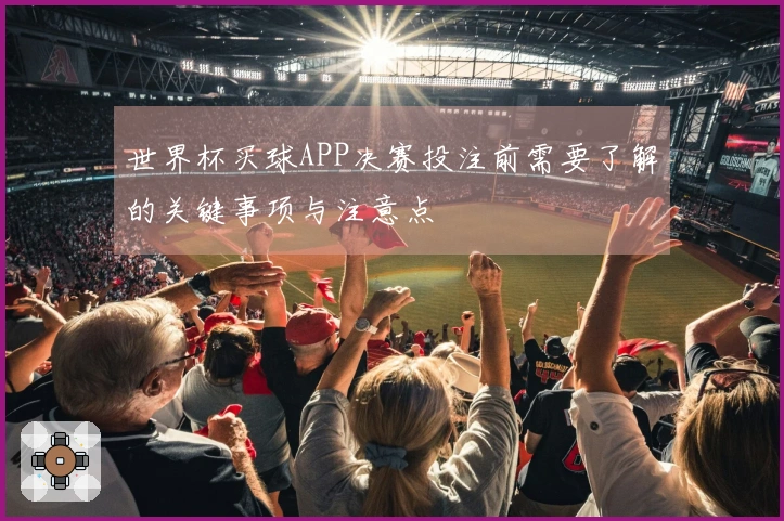 世界杯买球APP决赛投注前需要了解的关键事项与注意点