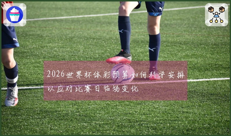 2026世界杯体彩预算如何科学安排以应对比赛日临场变化