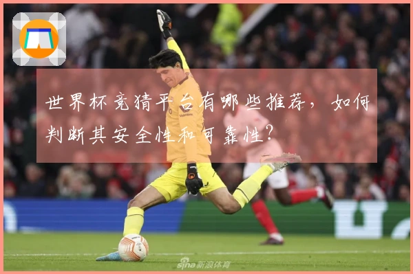 世界杯竞猜平台有哪些推荐，如何判断其安全性和可靠性？