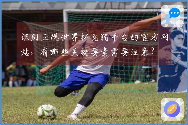 识别正规世界杯竞猜平台的官方网站，有哪些关键要素需要注意？