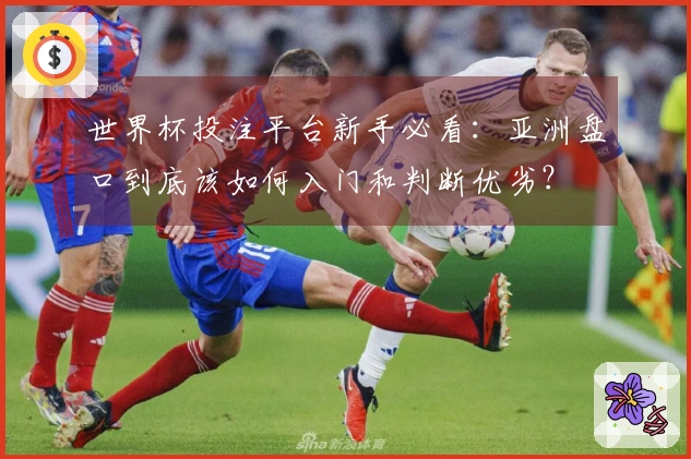 世界杯投注平台新手必看：亚洲盘口到底该如何入门和判断优劣？