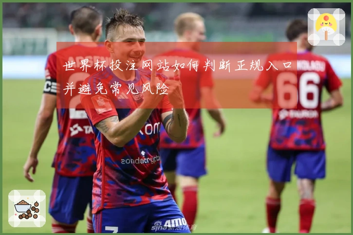 世界杯投注网站如何判断正规入口并避免常见风险
