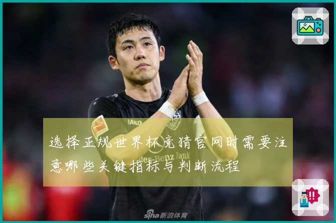 选择正规世界杯竞猜官网时需要注意哪些关键指标与判断流程