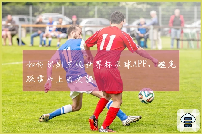如何识别正规世界杯买球APP，避免踩雷和上当受骗