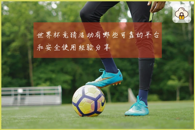 世界杯竞猜活动有哪些可靠的平台和安全使用经验分享