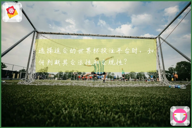 选择适合的世界杯投注平台时，如何判断其合法性和合规性？