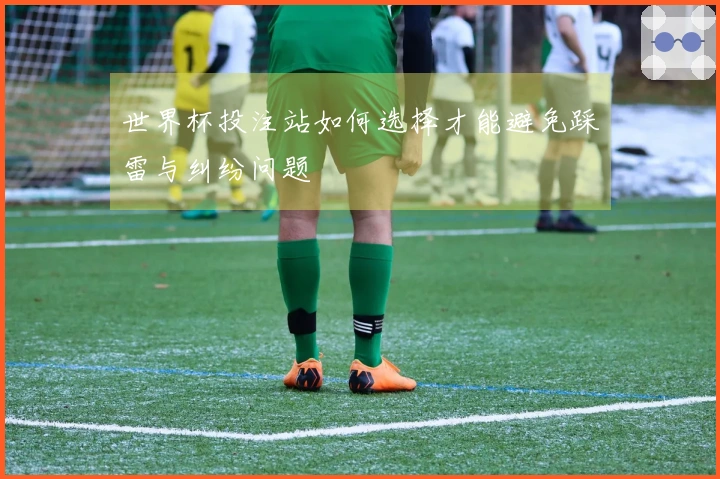 世界杯投注站如何选择才能避免踩雷与纠纷问题