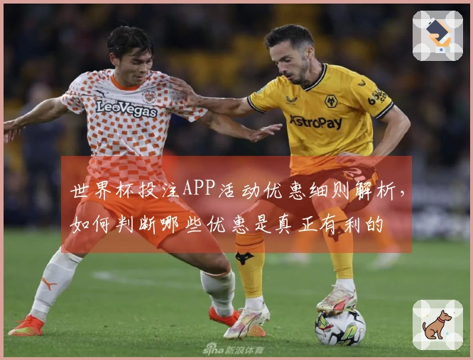 世界杯投注APP活动优惠细则解析，如何判断哪些优惠是真正有利的
