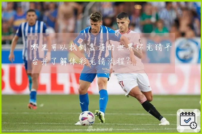 哪里可以找到靠谱的世界杯竞猜平台并了解体彩竞猜流程？