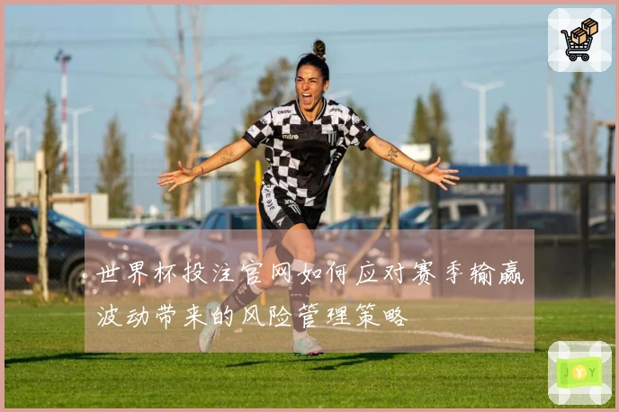 世界杯投注官网如何应对赛季输赢波动带来的风险管理策略