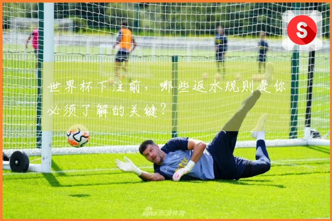 世界杯下注前，哪些返水规则是你必须了解的关键？
