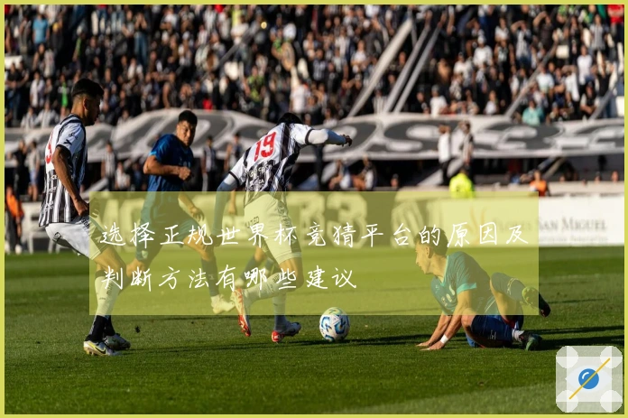 选择正规世界杯竞猜平台的原因及判断方法有哪些建议